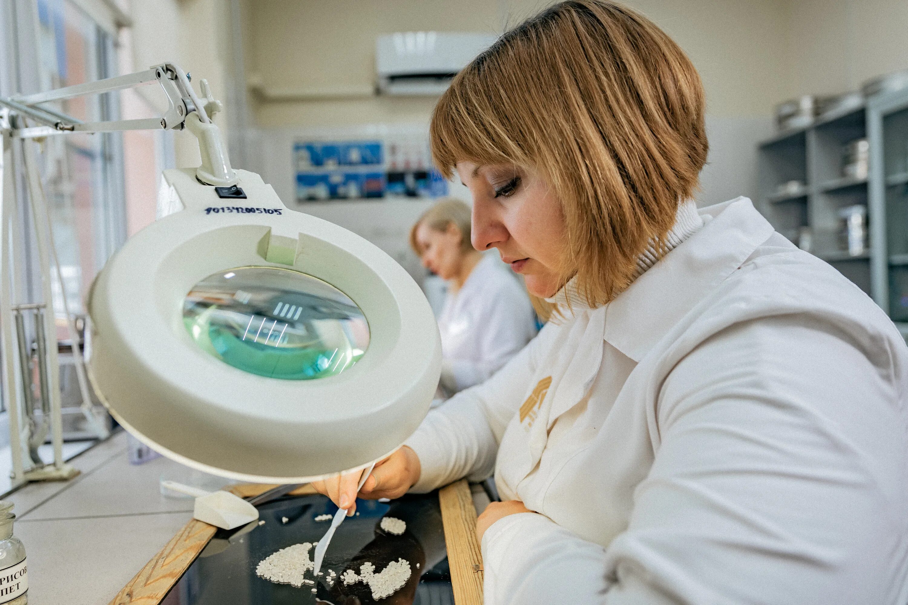 Центр оценки качества зерна филиалы. Фгбу &quot;центр оценки качества зерна в новороссийске. фгбу &quot;центр оценки качества зерна&quot; мария шостак. новороссийский филиал фгбу центр оценки качества зерна. гуськова центр оценки качества зерна.