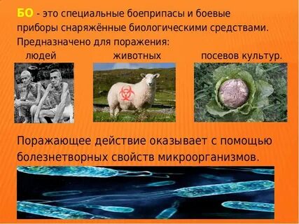Поражают и человека и животных