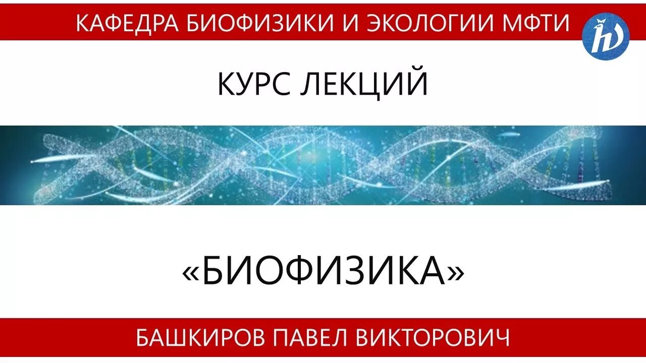 Молекулярная биофизика. Медицинская биофизика. Рубин биофизика. Биофизика человека. Биофизика зрения.