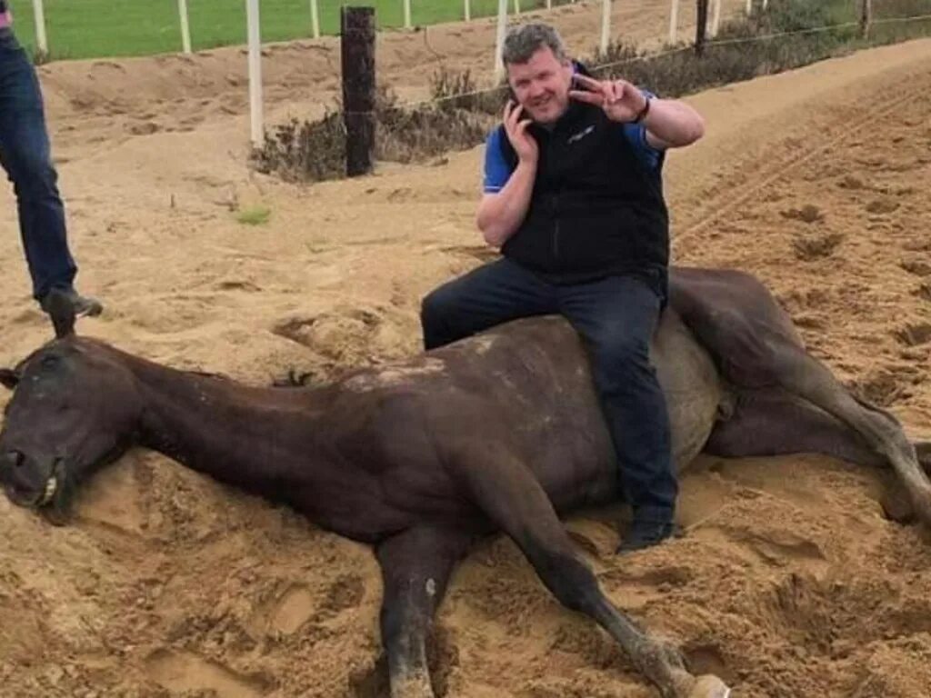 Старые клячи. Лошадь впряженная в плуг. Дохнут лошади в плугу. Пахать землю. Конь с плугом.