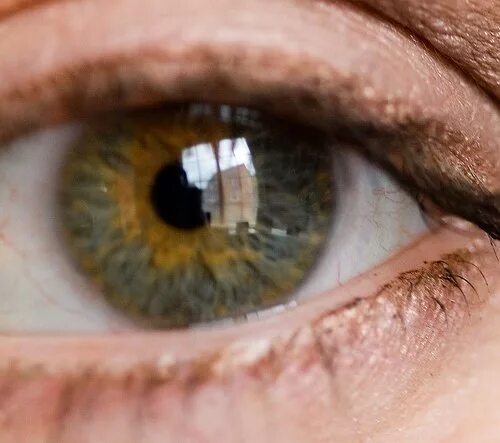 Мутно желтые глаза. Серо желтые глаза. Серо-желтый цвет глаз. Серо болотный цвет глаз. Серо-зеленые глаза с желтыми вкраплениями.