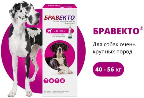 Бравекто 56