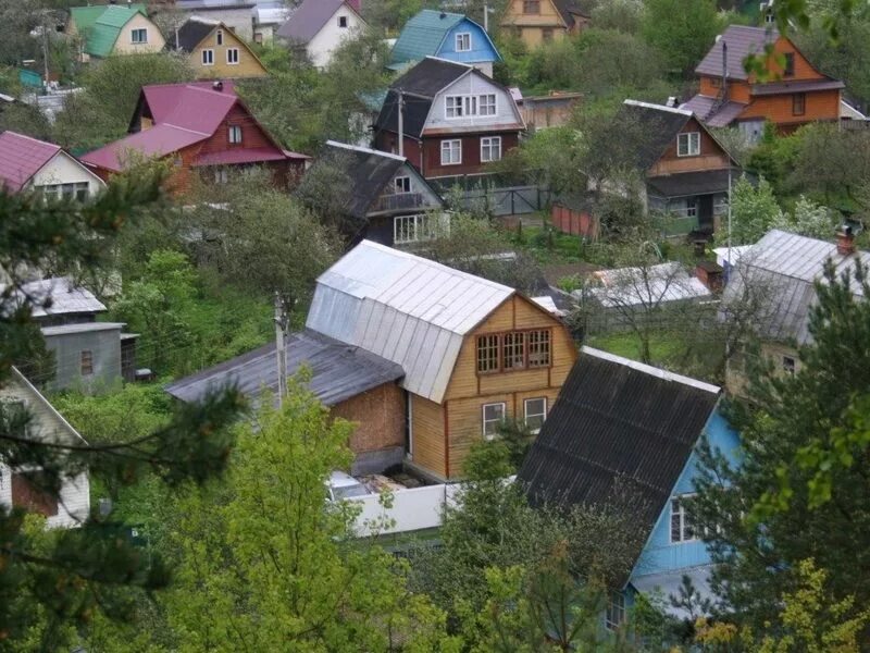 СНТ Дубки Тучково. СНТ Дубки Одинцовский район. Дачи под Тучково. СНТ Дубки 72 Тучково. Снт дубки купить