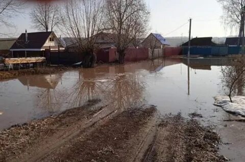 Затопило огород