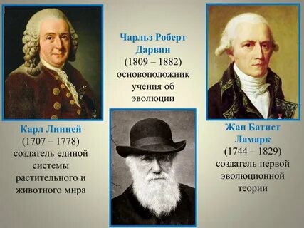 Линней ламарк дарвин