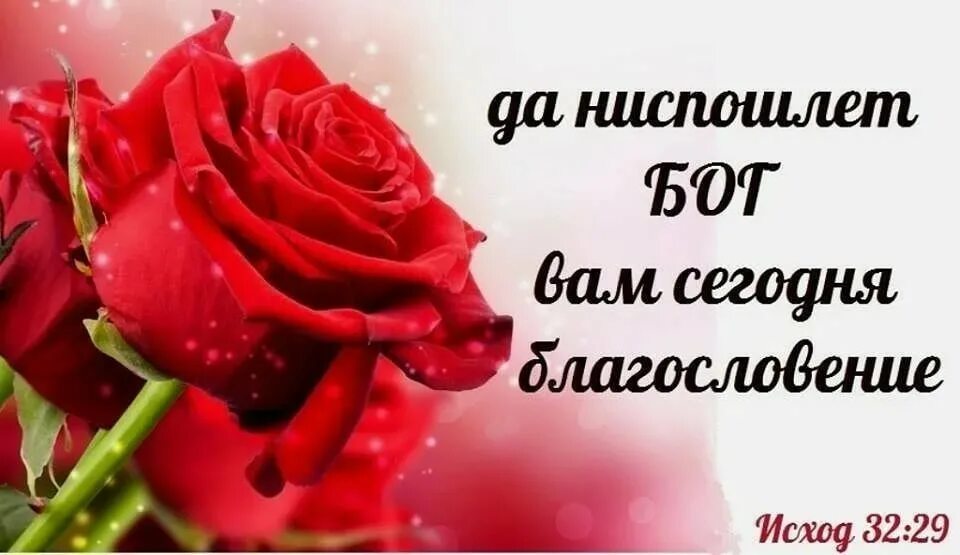 Какого числа благословения. Доброе утро благословение открытки. Христианские открытки доброе утро с благословениями. Открытки доброе утро хорошего дня Божьих благословений. Открытки с добрым утром с благословением Господа.