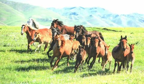 Мария Захарова секс