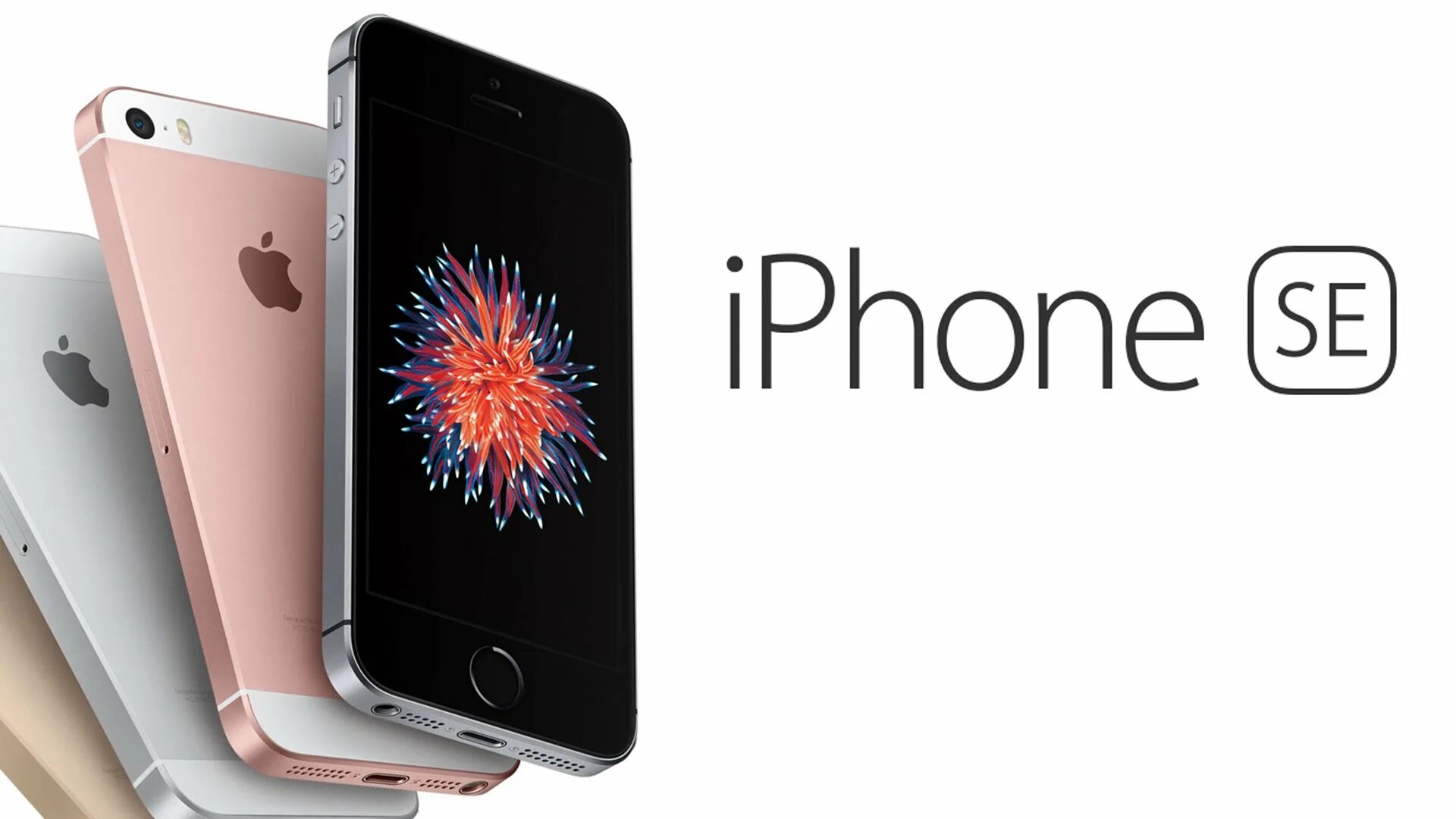 Сколько будет стоить айфон се. Apple iphone se. iphone 5se. айфон se 2. айфон се 2018 года.