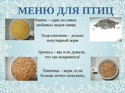 Пшено птицам зимой можно