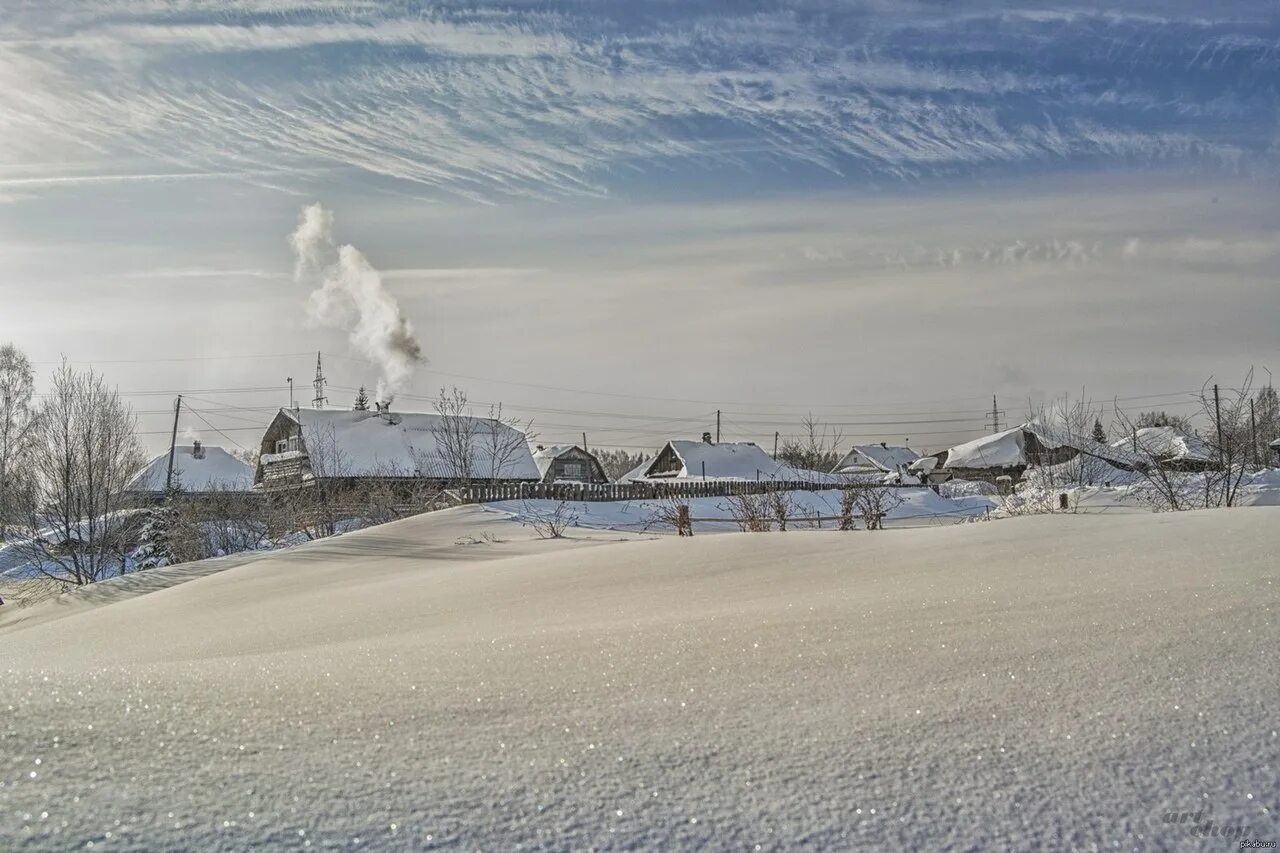Восточно сибирская тайга растительность. Южный таежный пояс сибирской тайги. Восточно сибирская тайга. Плато путорана красноярский край. Енисейская тайга.