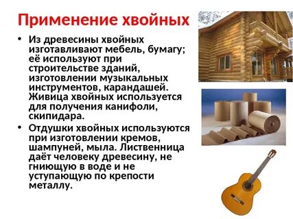 Как человек использует древесину