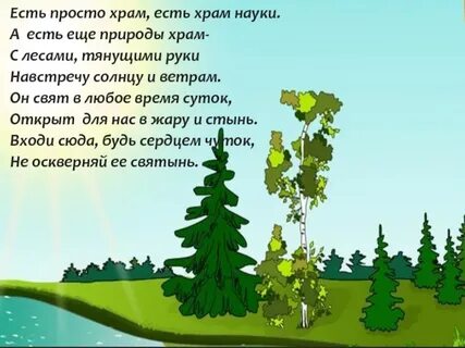 Далеко не гостеприимный лес тянулся