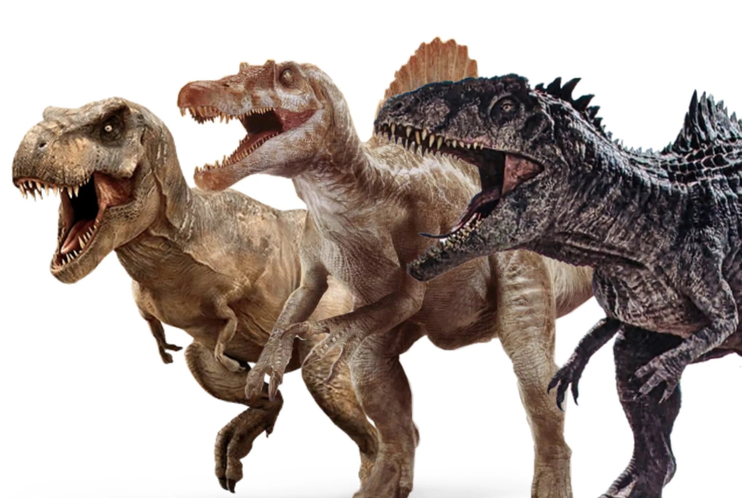 Гигантозавр рекс. Гигантозавр и рекс. тираннозавр и гигантозавр. jurassic world 3 гиганотозавр и рзинозавр. тираннозавр рекс мир юрского периода.