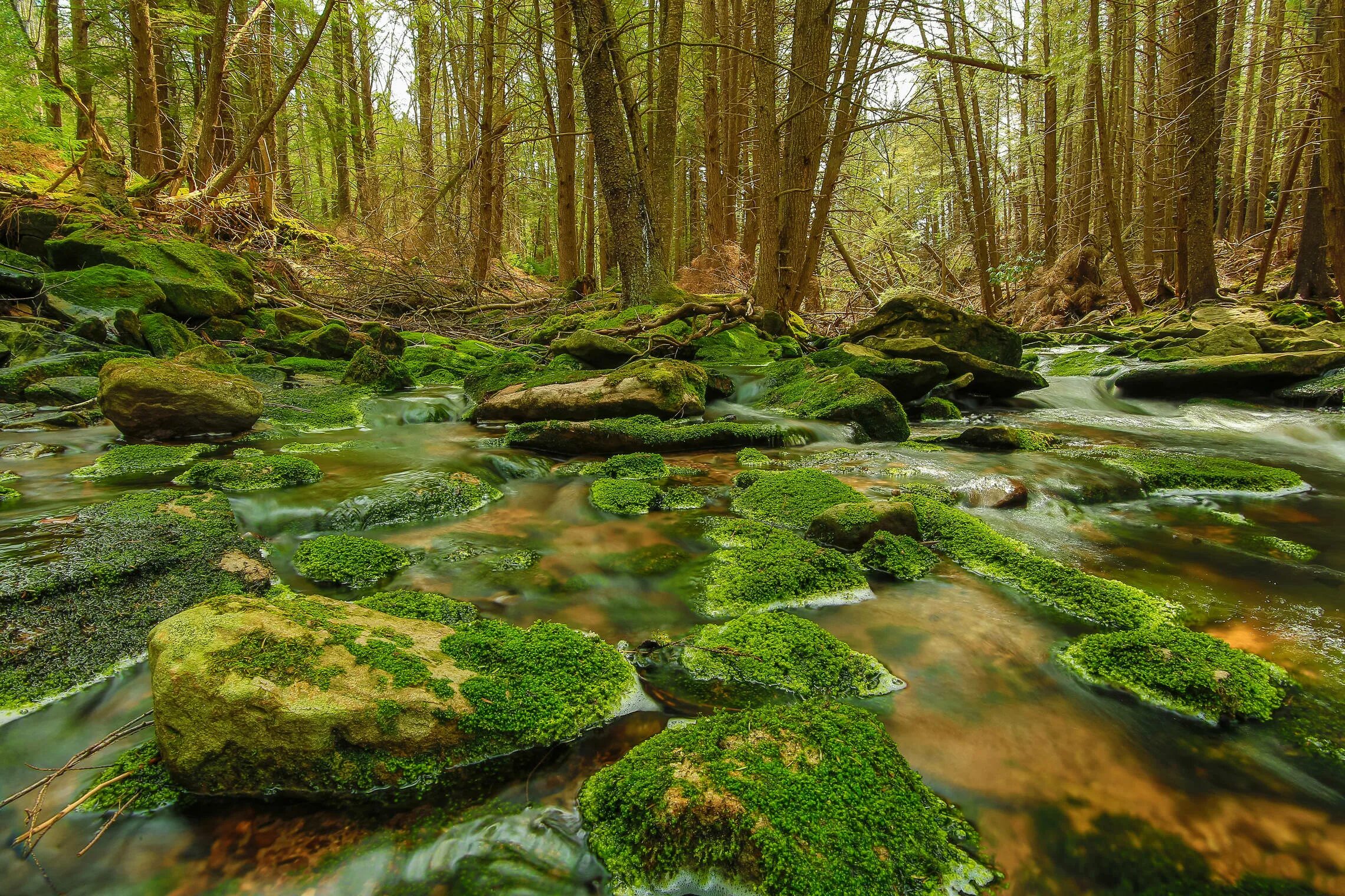 Весенний ручеек. Щербаков «журчат ручьи весенние». Ручьи весной. Зажурчали ручейки расцвели. Зажурчали ручейки расцвели.
