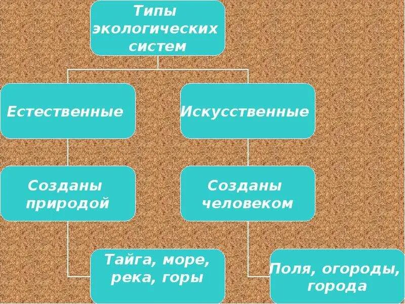 Человек создает искусственные сообщества для. Естественные и искусственные сообщества. Искусственные сообщества. Виды искусственных сообществ. Искусственные сообщества биология.