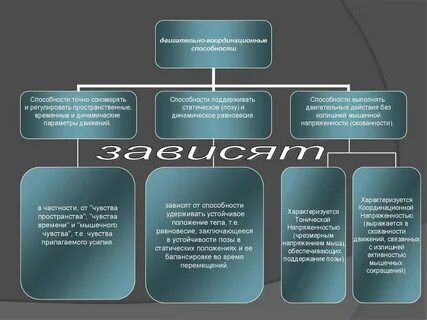 Их основе многие особенности их
