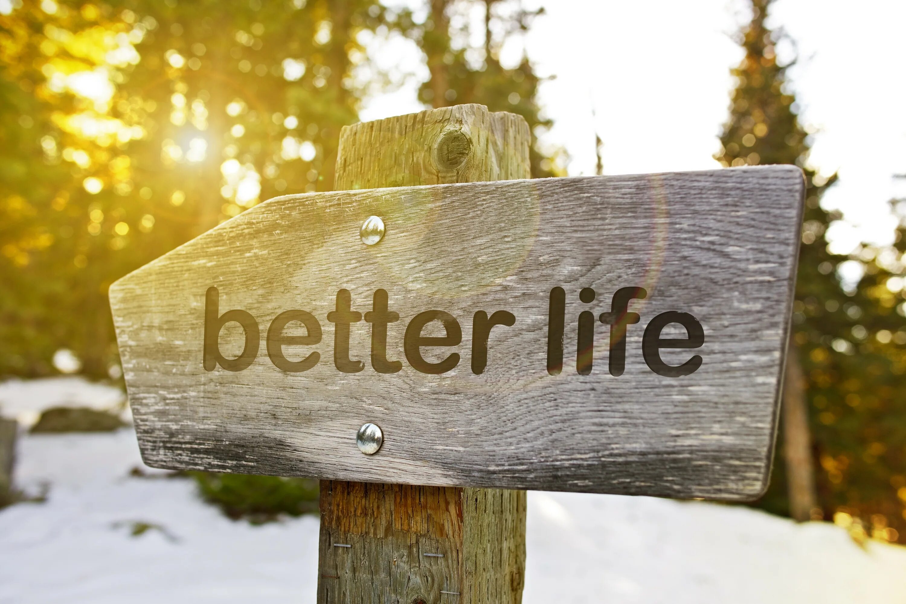 Life is wood. Better Life. Картинку the best of my Life. Do your best to get better картинка. Better than better Life.