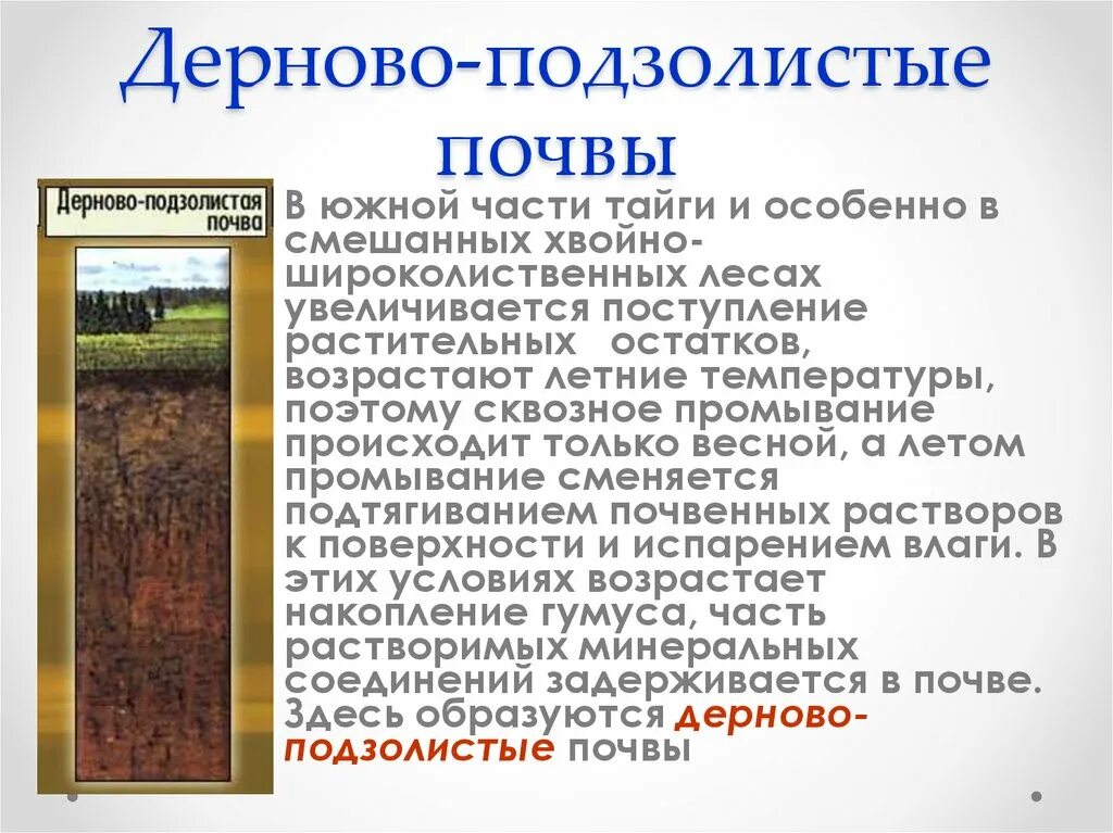 Дерново-подзолистые почвы зоны России. Дерново-подзолистые почвы природная зона РФ. Подзолистые почвы тайги. Дерново-подзолистые почвы профиль.