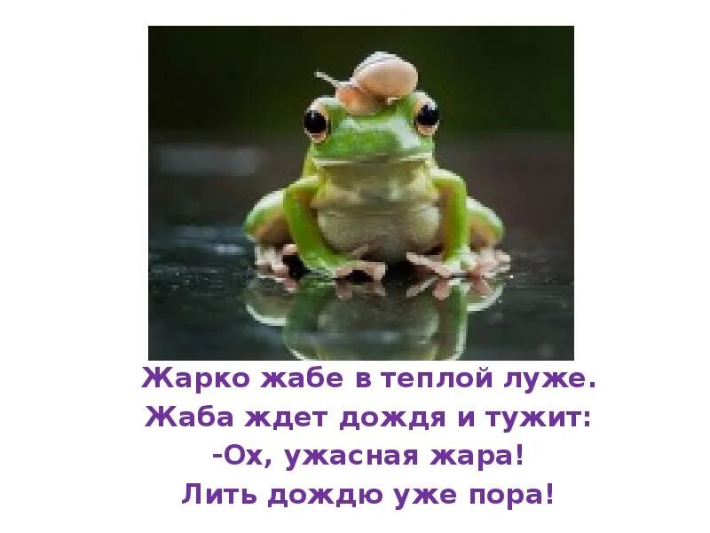 Жаба ждет раздув живот жук. Черный "живая азбука". Жаба ждет раздув живот. Жаба ждет раздув живот. Скороговорка про лягушку.