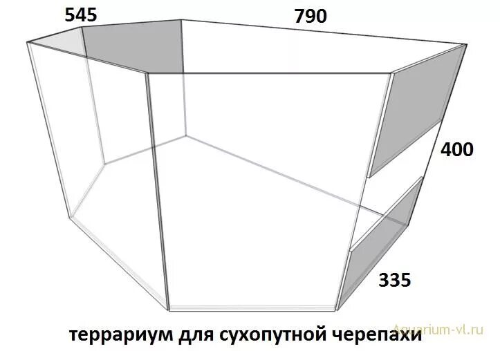 Террариум рисунок. Чертеж террариума. Террариум для паука птицееда чертеж. Чертёж террариума для змей. Террариум для паука птицееда.