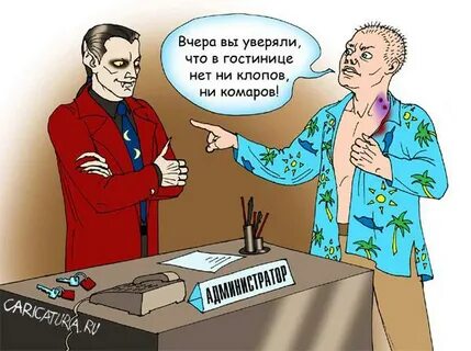 Бар вампиров анекдот