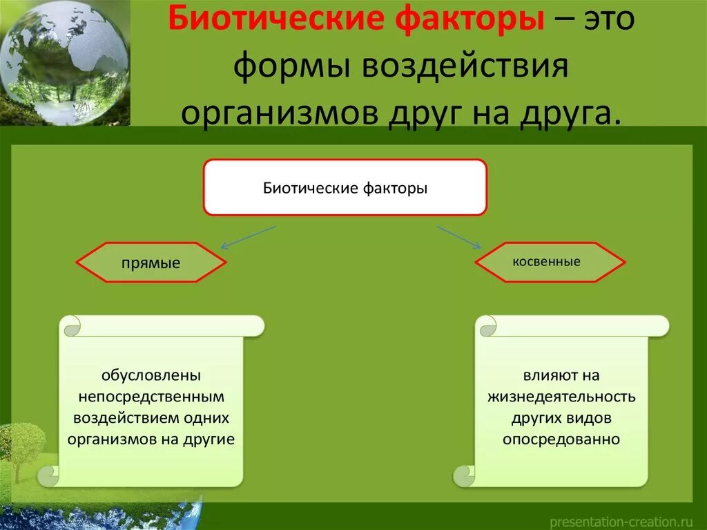 Факторы среды 11 класс презентация