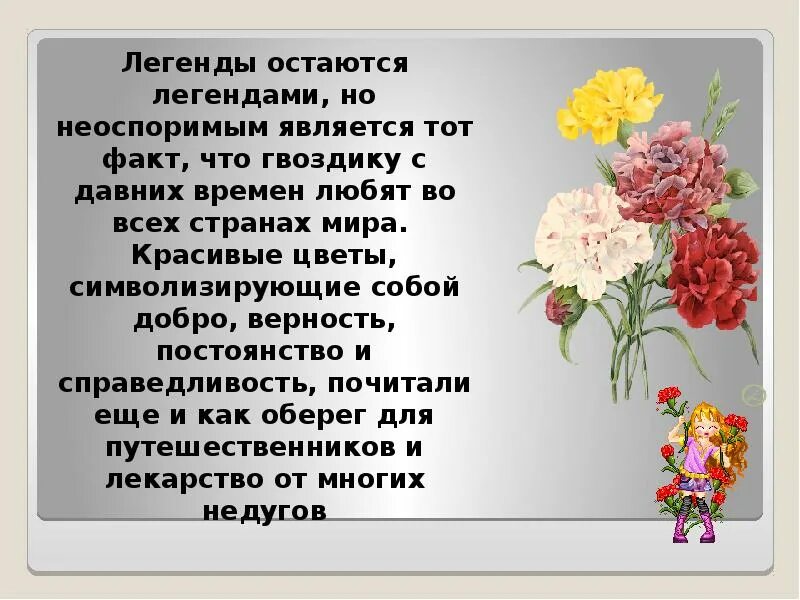 Гвоздика символизирует. Гвоздики цветы что символизируют. что символизирует гвоздика цветок. гвоздика что символизирует этот цветок. цветы гвоздики сообщение.