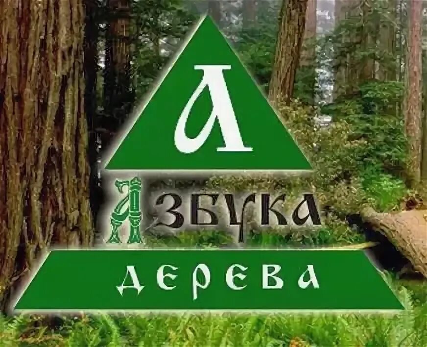 Азбука леса каталог товаров. Барнаул азбука леса ползунова 51. Азбука логотип. Азбука леса барнаул. Азбука леса.