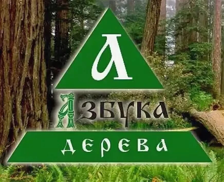 Азбука дерева новосибирск