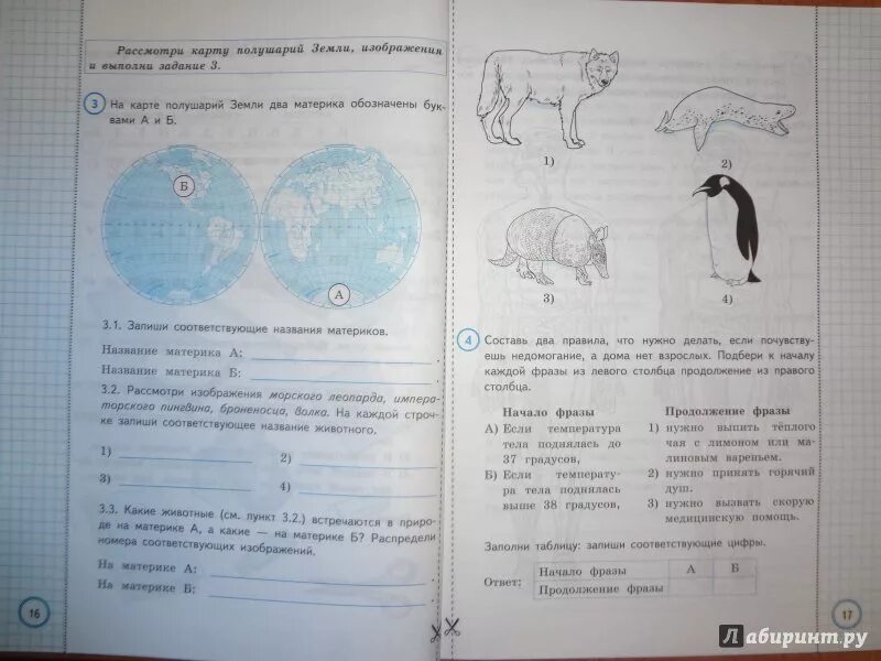 Решу впр 4 окружающий. Ответы ВПР окружающий мир 4 класс Волкова Цитович 4 вариант. Окружающий мир ВПР задания.