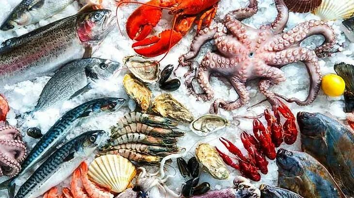 Меди морепродукты. Вред морепродуктов. Польза морепродуктов. Морепродукты польза и вред.