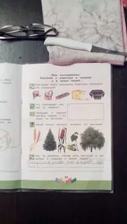Благодаря каким двум