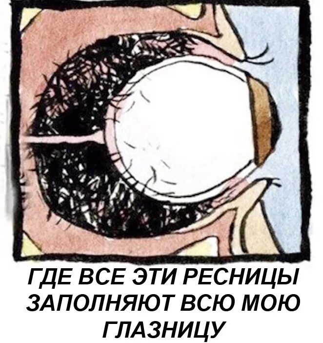 Что делать если в глазу ресница. Ресницы заполняют глазницу. куда деваются выпавшие ресницы. куда деваются ресницы в глазу.