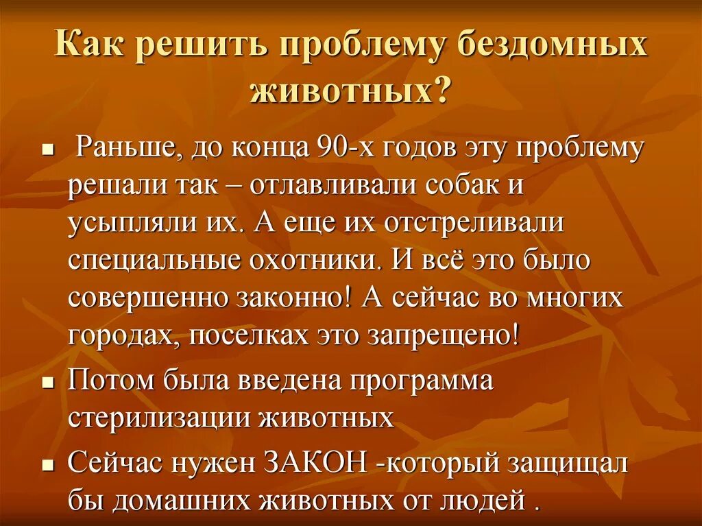 Как решить проблему с бездомными. Как решить проблему бездомных животных.