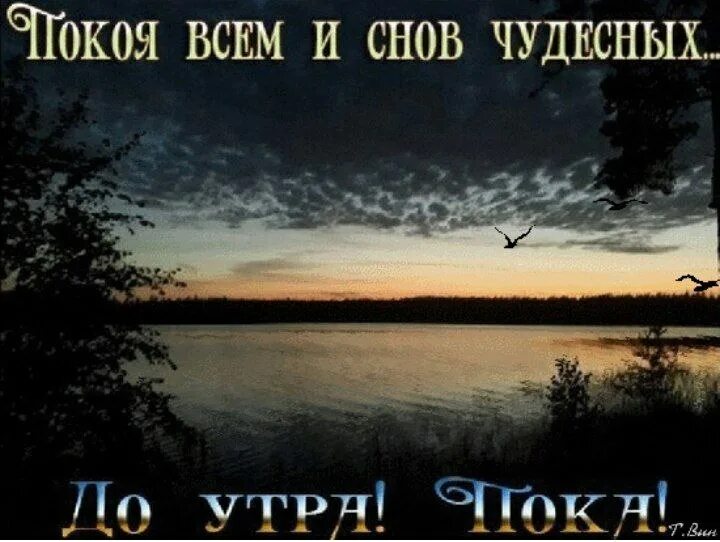 Доброй ночи до завтра гифки. Доброй ночи до завтра. Спокойной ночи до завтра. Ночи спокойной крепкого сна. Пока до завтра спокойной ночи