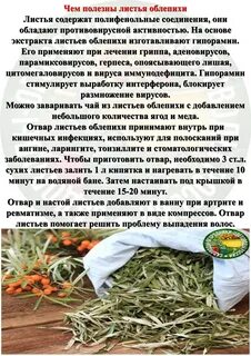 Как можно использовать листья