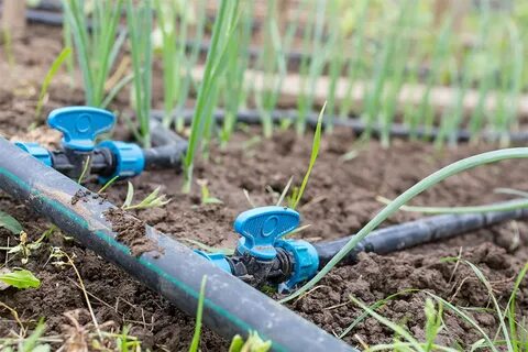 Drip irrigation