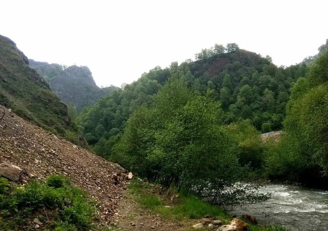 Хасаутский заказник. Долина нарзанов кисловодск экскурсия. Долина нарзанов кабардино-балкария кисловодск. Эко парк долина нарзанов, нальчик. Долина нарзанов экскурсия отзывы.