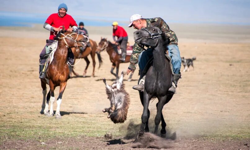 казахский всадник. кочевник предложение. казахи в степи. кочевники на лошадях. кочевник.