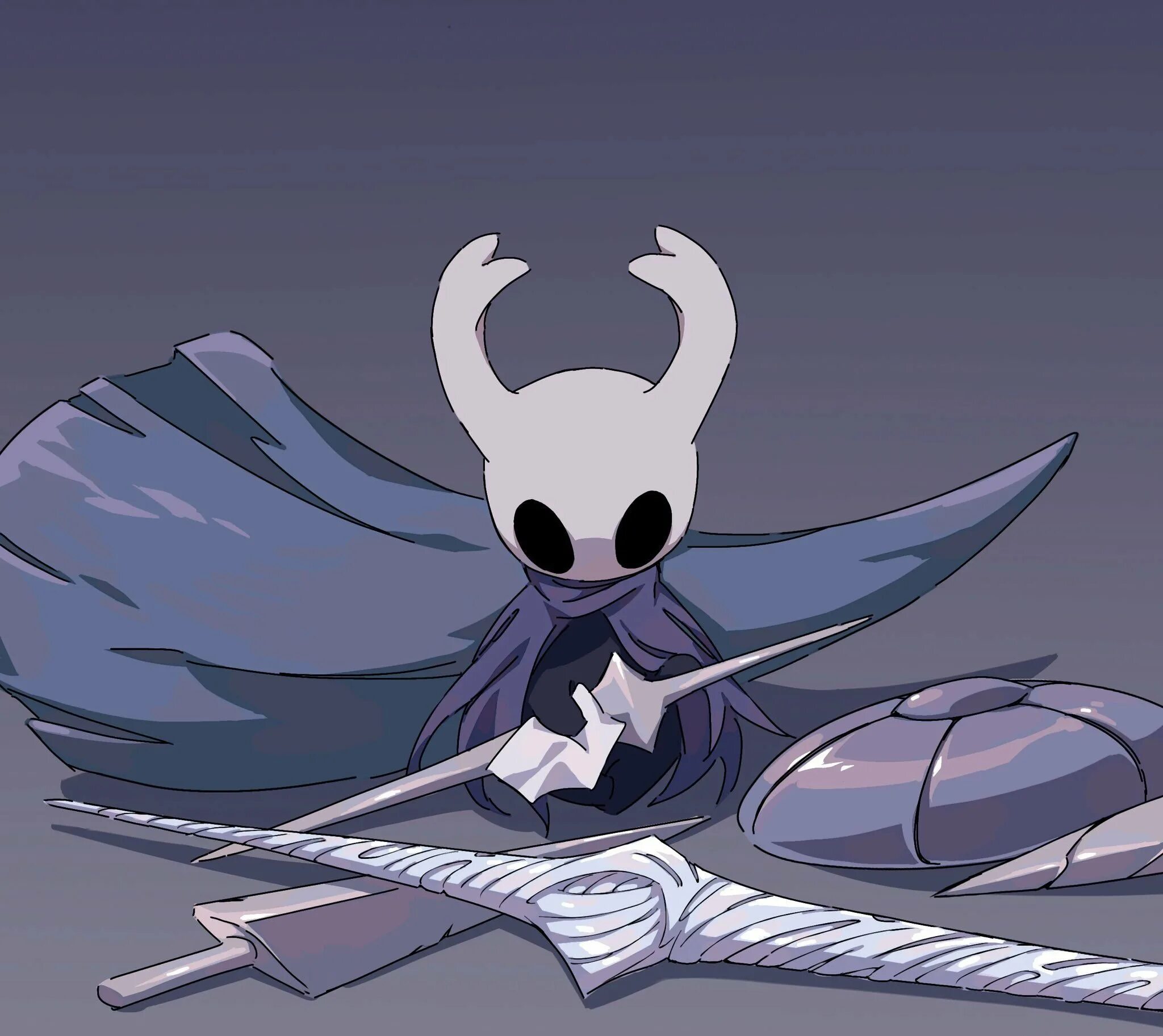 Спидран холлоу найт. Полый рыцарь hollow knight. холлоу найт найт. хорнет холлоу найт. hollow knight рыцарь.