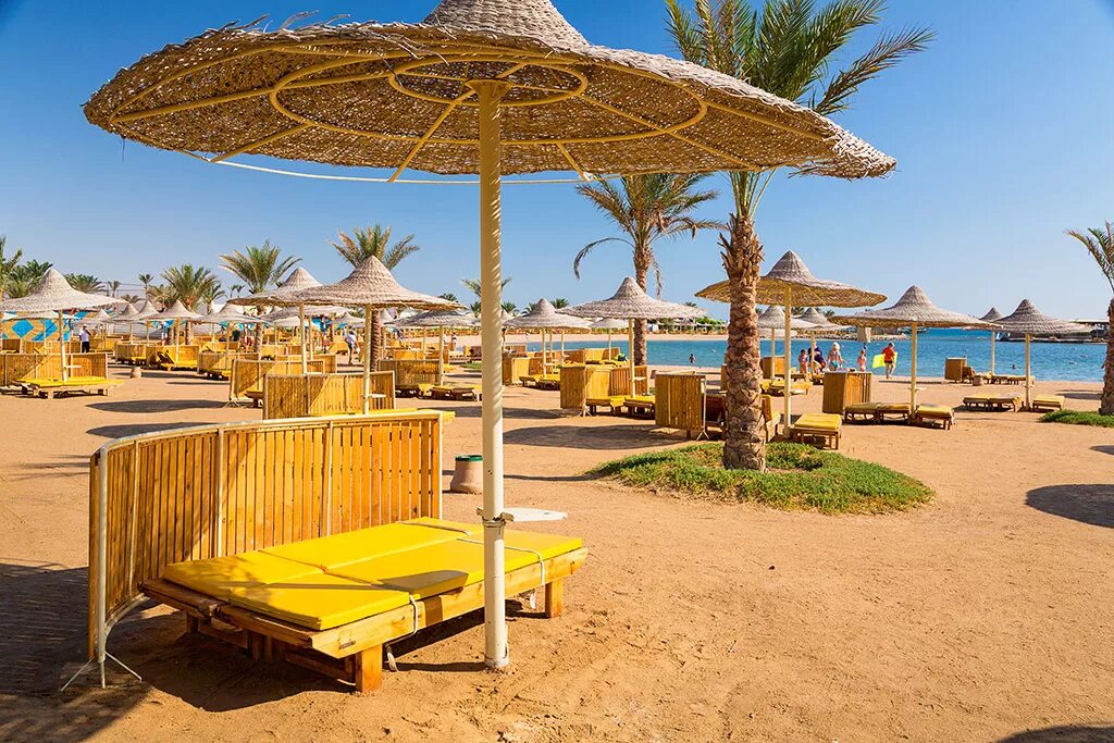 Десерт резорт. Десерт роуз резорт хургада египет. desert rose resort 5 хургада. отель desert rose resort египет. египет отель десерт роуз резорт.