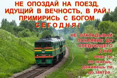 Жизнь дается богом это твердо знай
