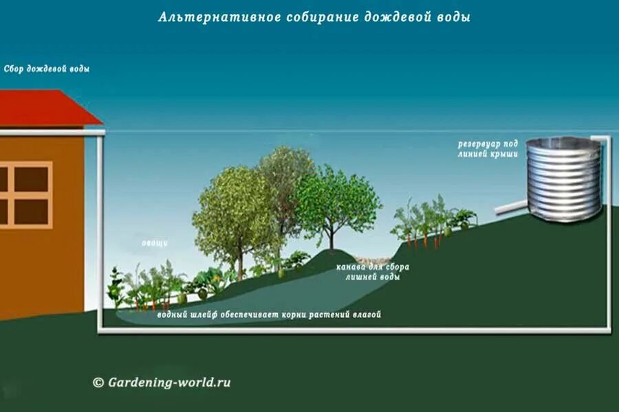 Сбор дождевой воды. Сборник дождевой воды. Организация сбора дождевой воды в частном доме. Состав дождевой воды.