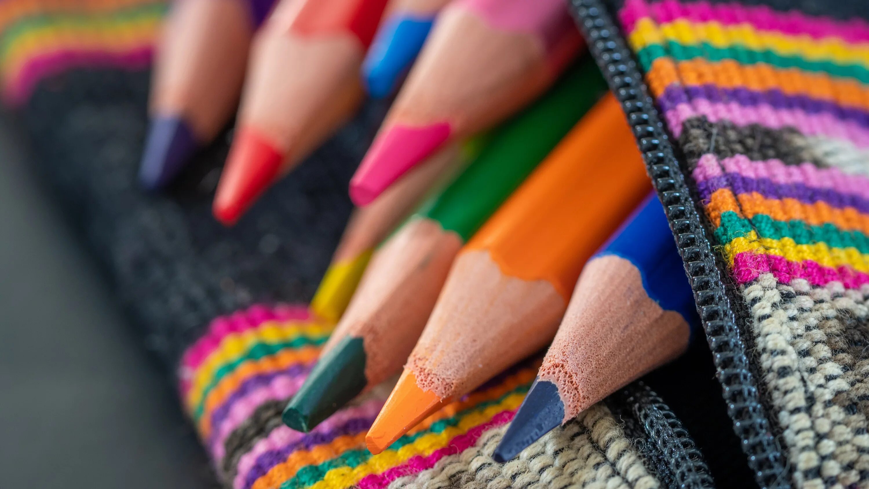 4 pencils cases. Модные цветные карандаши. Самые красивые карандаши. Карандаш макро. Самый красивый карандаш в мире.