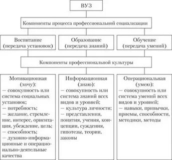 Структура процесса социализации