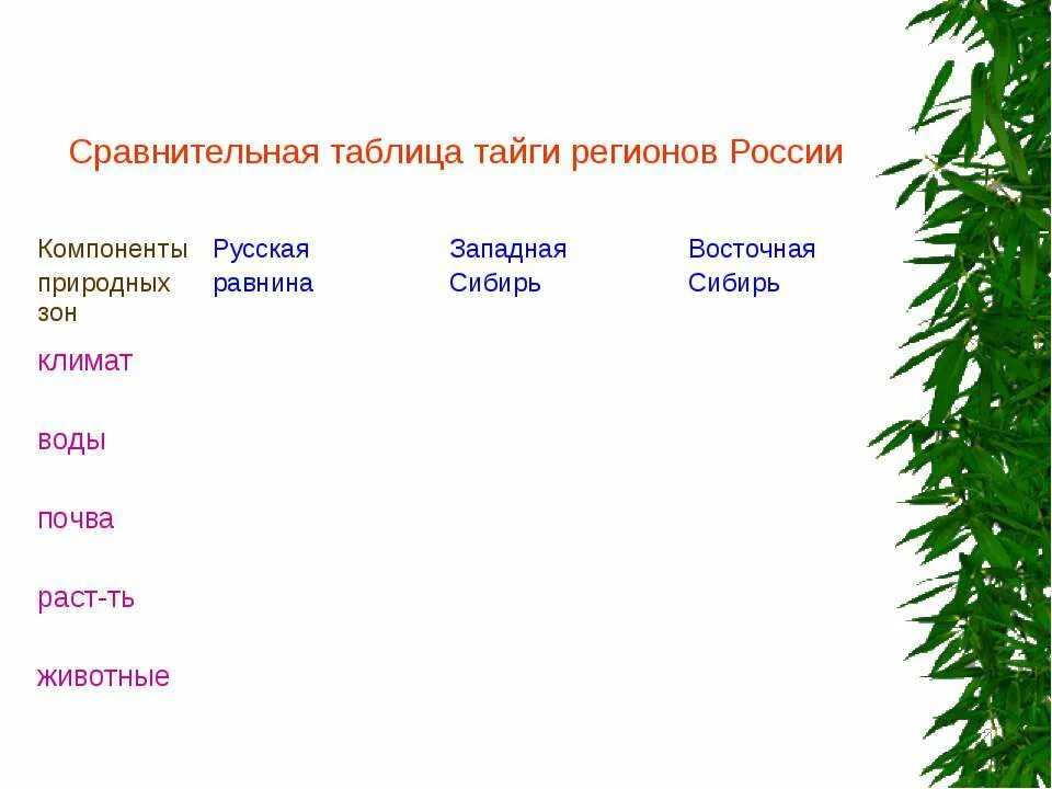 Таблица природные зоны россии тайга. Природная зона Тайга таблица. Зона Тайга таблица природные зоны. Зона тайги России таблица. Сравнительная таблица тайги регионов России.