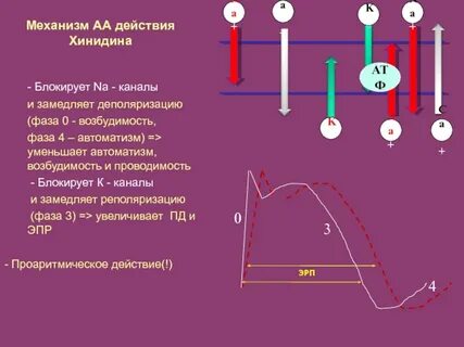 Фаза e
