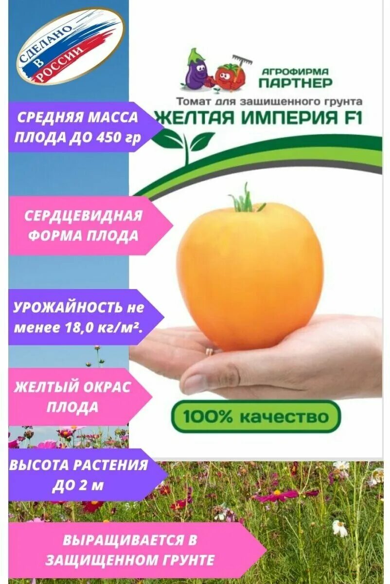 Томат гном фиолетовое царство описание сорта фото