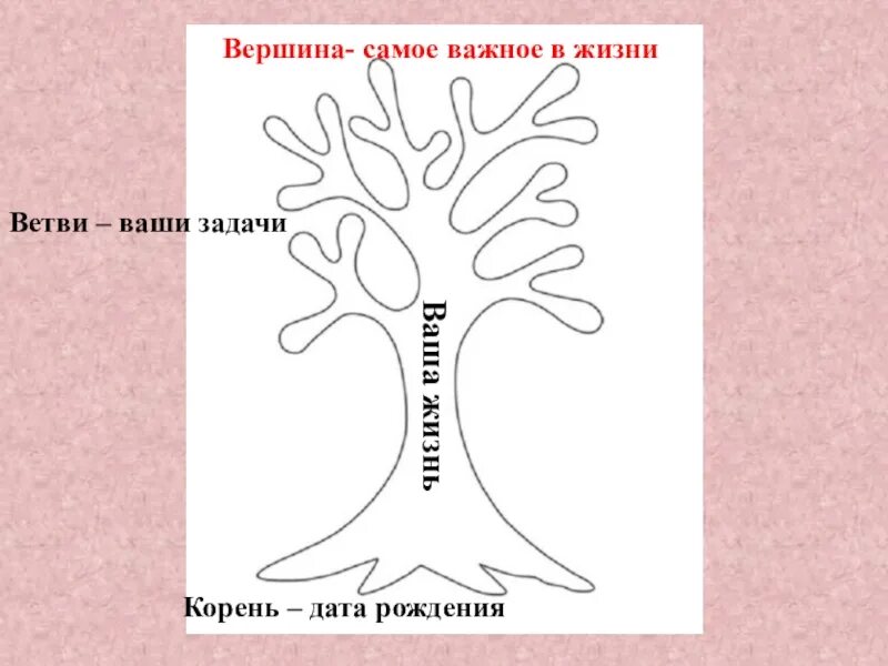 Род корневых 8. Дерево по обществознанию. Дерево жизни Обществознание. Дерево по обществознанию 5 класс. Дерево жизни Обществознание 5 класс.