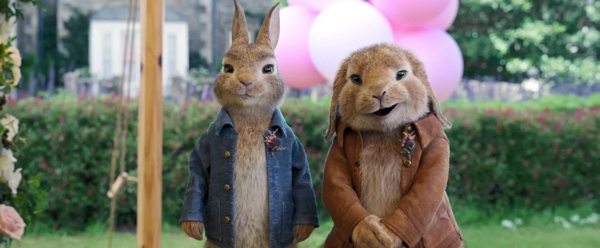 Rabbit 2. Rabbit 2
